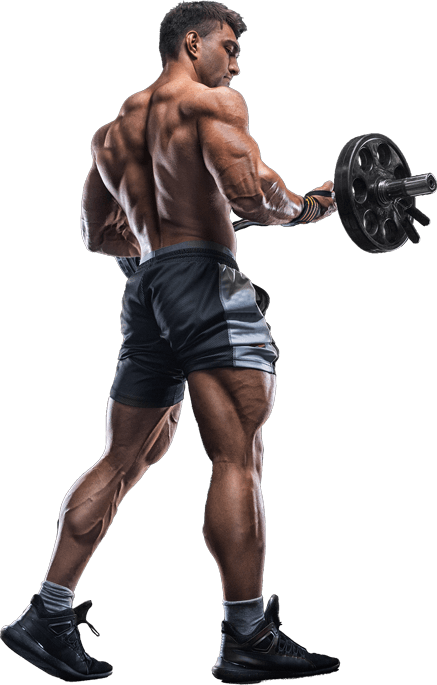 Athlet beim Krafttraining im Freefight-Fitness Gym